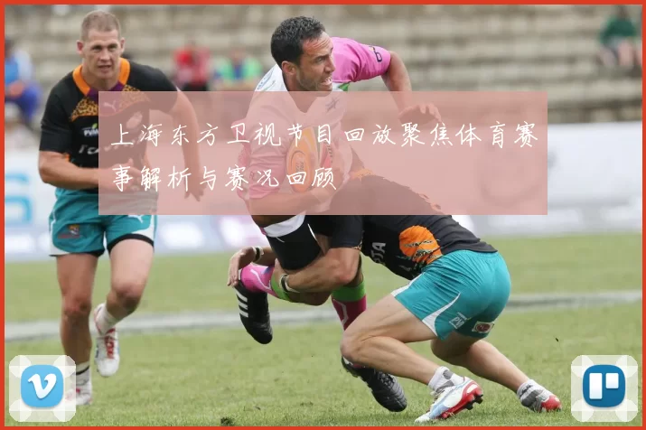 上海东方卫视节目回放聚焦体育赛事解析与赛况回顾